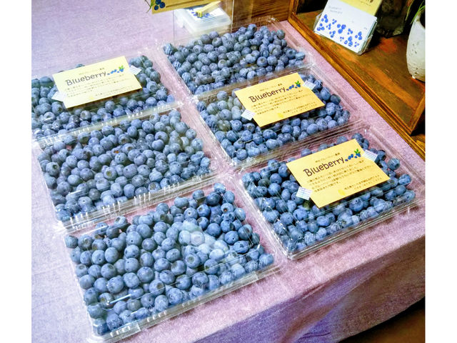 �_�c�u���[�x���[�_��