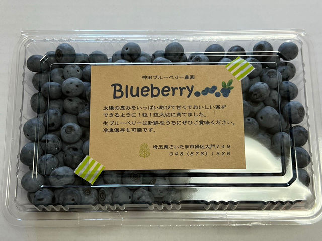 �_�c�u���[�x���[�_��