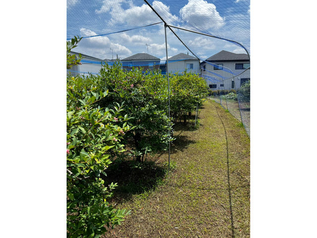 �_�c�u���[�x���[�_��