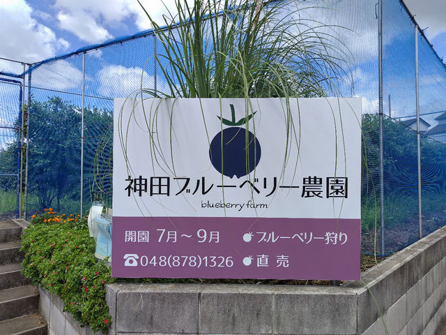 �_�c�u���[�x���[�_���̎ʐ^1