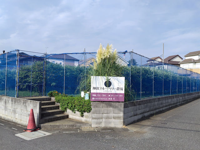 �_�c�u���[�x���[�_��