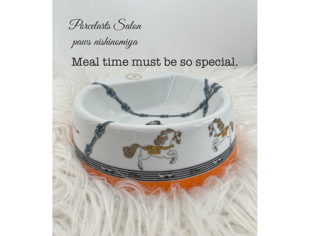 ���������p�̃t�[�h�{�[���B�|�[�Z���[�c����L���鐢�E�ς͖����ł��B_�|�[�Z���[�c�T����PAWS���{