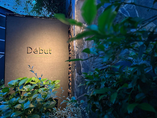 Debut icci �㊯�R