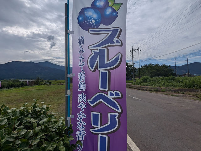 �X�i�_��