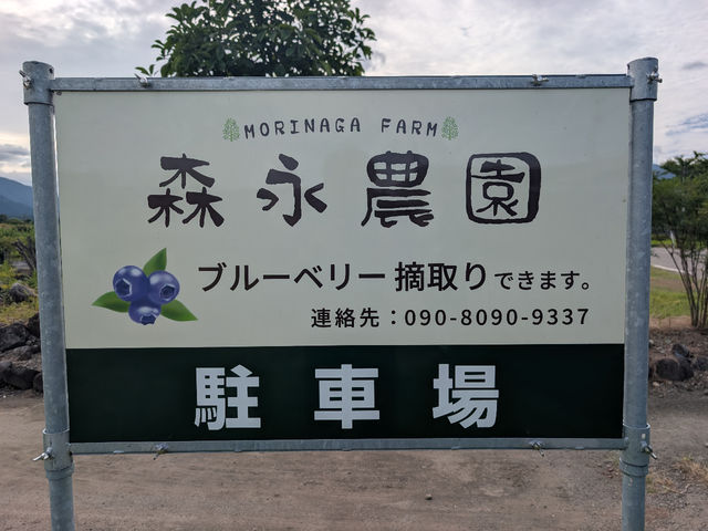 �X�i�_��