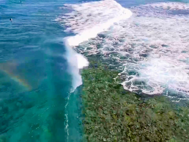 �{�[�g�`���[�^�[�ŃA�E�^�[���[�t�ւ̑ݐ؃T�[�t�B���ցB360�x�p�m���}�r���[�̒��ŋ����瓪�T�C�Y�̔g�����C�N���Ă��������B_INCHER/�C���V���[