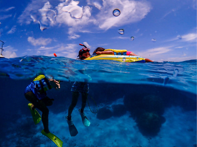 �ݐ؃{�[�g�V���m�[�P�����O_INCHER/�C���V���[