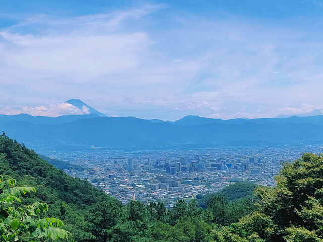 �b�{�~�n��荂��ɂ��邽�߁A�~�n���2�`3�x�͋C���͒Ⴂ�ł�
�i�_������͕x�m�R�͌����܂���j_Obina Blueberry Hill