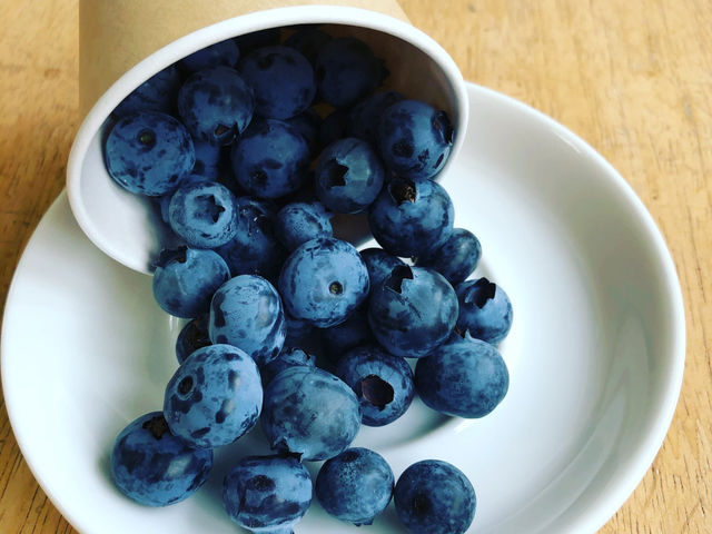 Obina Blueberry Hill