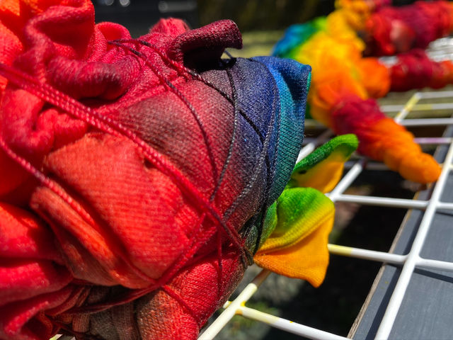 �J���t���I�F�D���I_�g��E��V�� Nature Lab Hokule'a