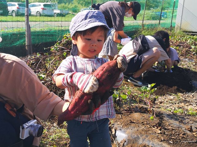 �X�ƌ΂̊y�� Workshop Camp Resort