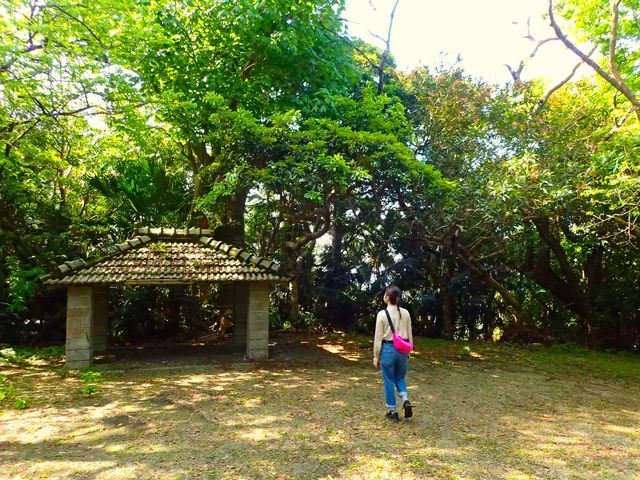 �����Ȃ킳��ہ@����܂����j�U��_�����Ȃ킳���