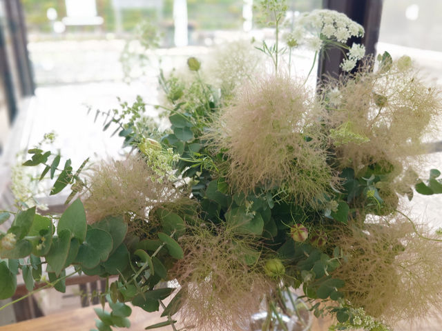 ����
�G�߂̃A�����W�����g�i��j_�ԑ������f����