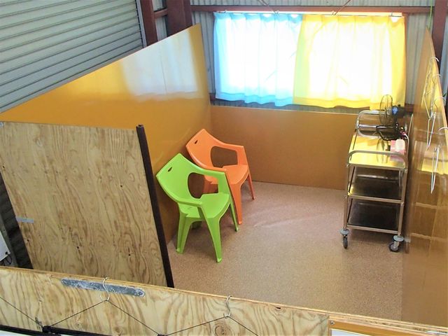 �l���\��_�b�L�[�J�k�[�̐�V��(����ڂ���)