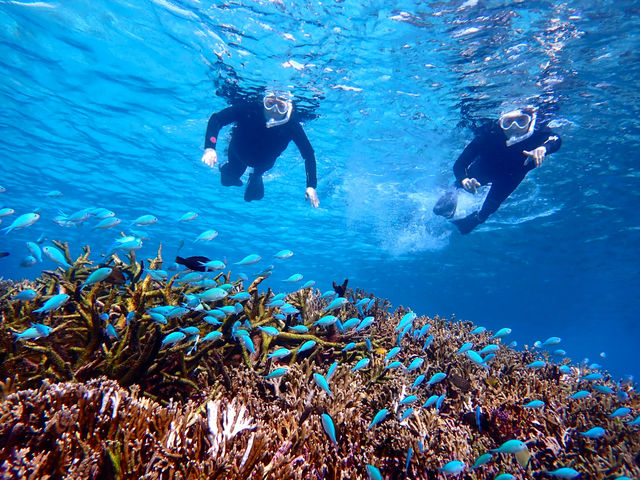 �{�Âς��c�A�[�Y