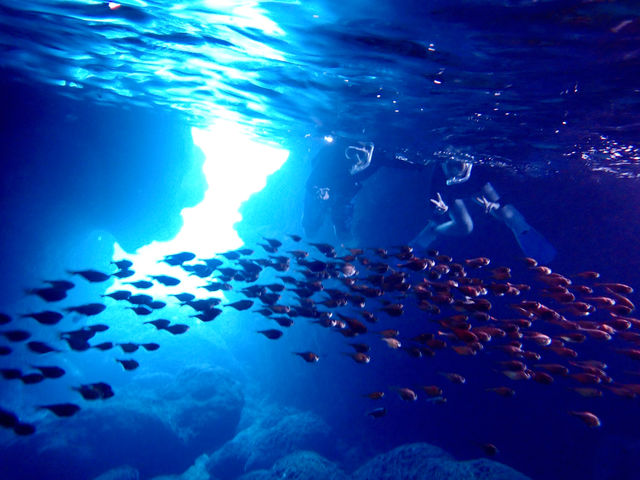 �{�Âς��c�A�[�Y