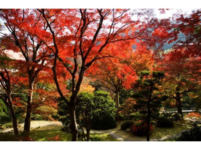 �R����(�g�t)_�g�r����