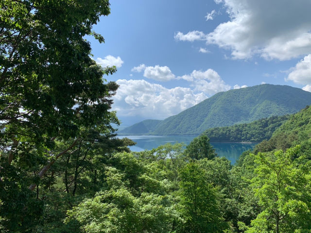 TRAIL HIKES (�g���C�� �n�C�N�X)