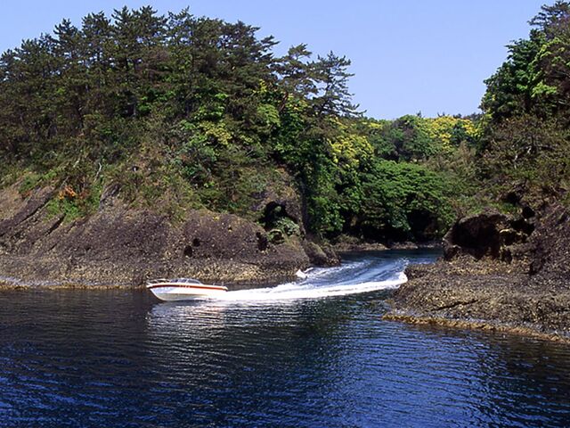 ���炢�M�͉��ό��D�D�̎ʐ^1