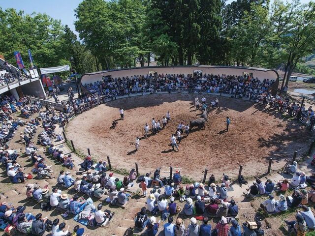 ���̊p�˂��i����J�E�R�Îu�j�̎ʐ^1