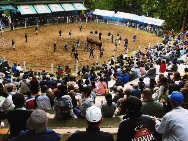 ���̊p�˂��i����J�E�R�Îu�j