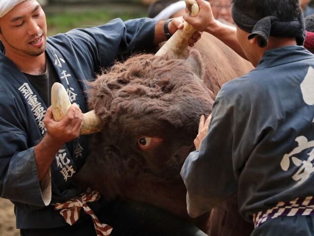 ���̊p�˂��i����J�E�R�Îu�j