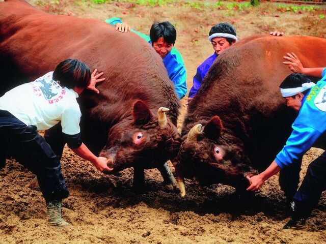 ���̊p�˂��i����J�E�R�Îu�j