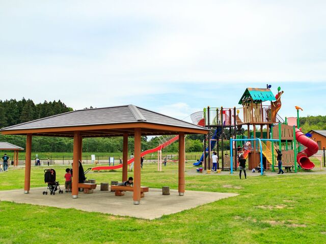 ���ɂ͂܌����̎ʐ^1