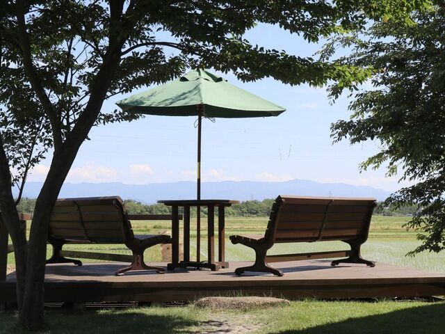 �������p��