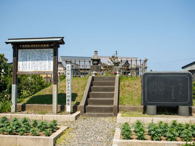 �����Ɛ~�q���̋��{���̎ʐ^1