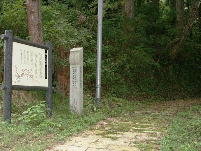 �Ó��@���V�R�X���i�㐙�R���@�j�̎ʐ^1