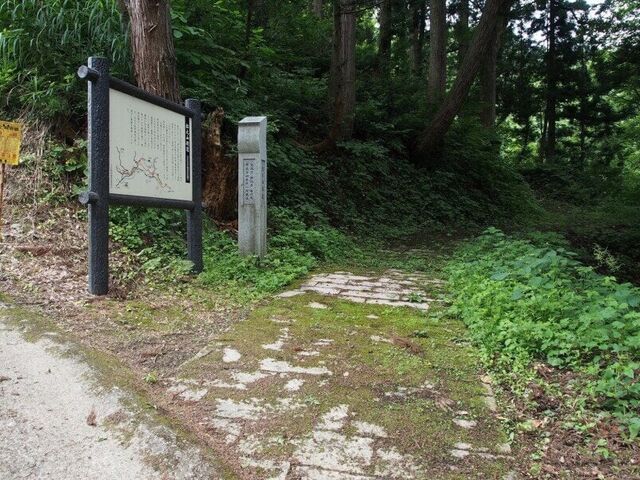 �Ó��@���V�R�X���i�㐙�R���@�j