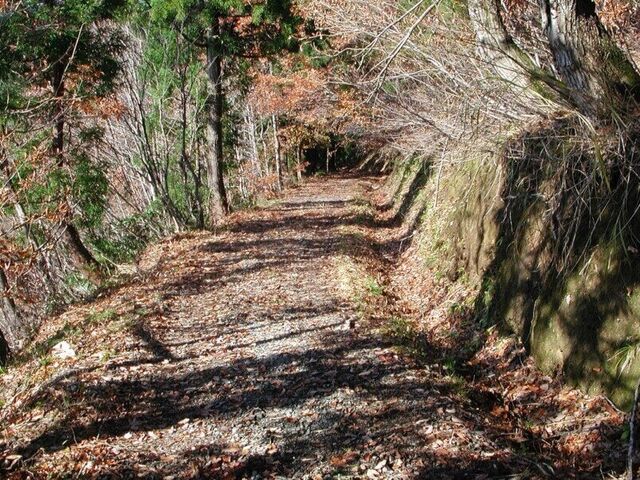 �Ó��@���V�R�X���i�㐙�R���@�j