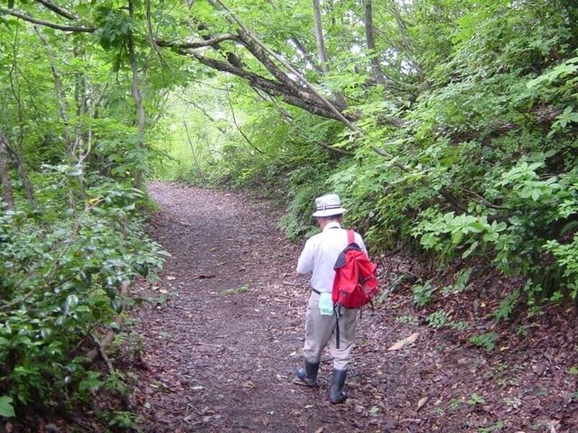 �Ó��@���V�R�X���i�㐙�R���@�j