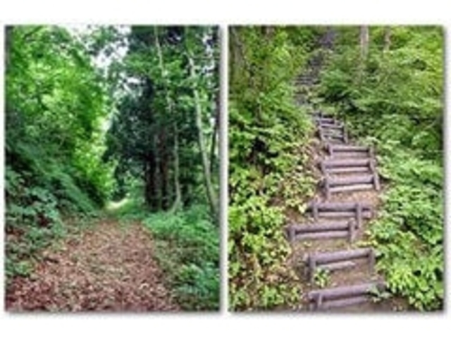 �Ó��@���V�R�X���i�㐙�R���@�j