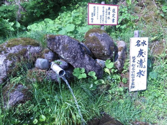 �M�����̎ʐ^1