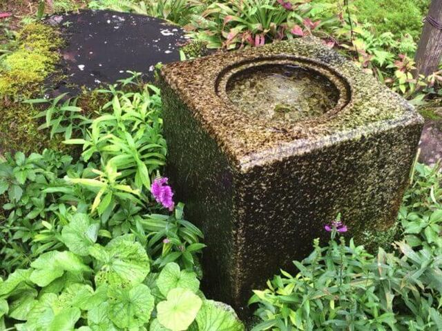 �������̎ʐ^1