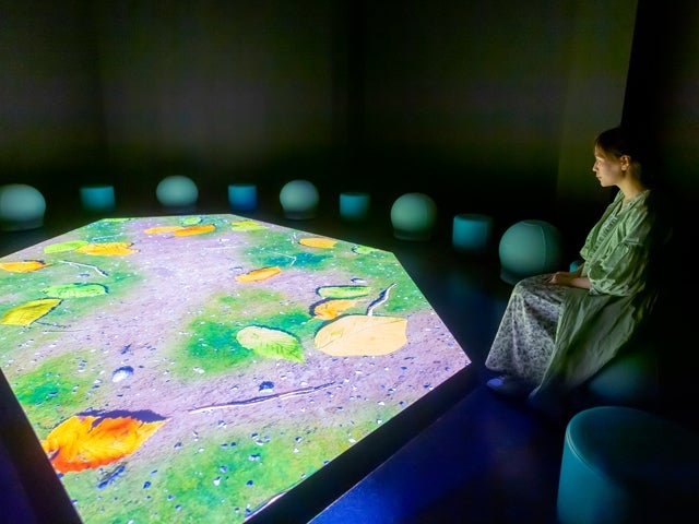 �ʕ{�S�֒n������~���[�W�A��