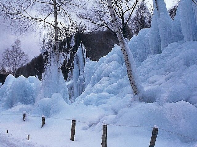 �X�_���̐X