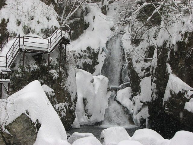 ����ȓ~�̑�߂���