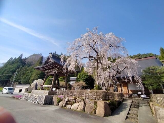 ��˂����Ѝ��߂���