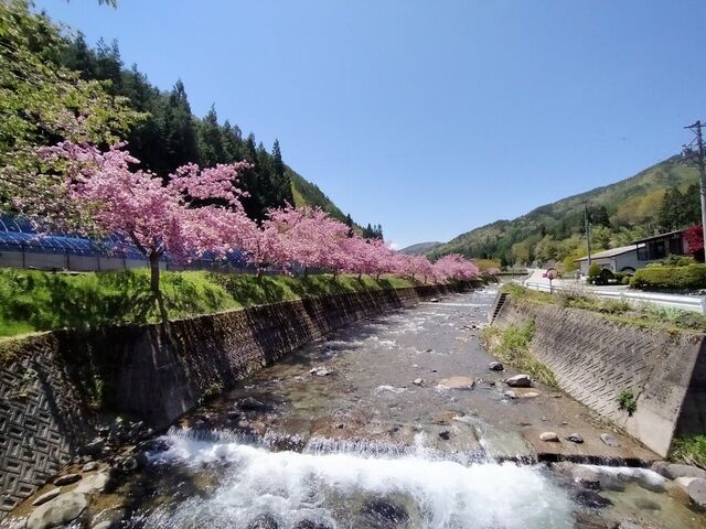 ��˂����Ѝ��߂���