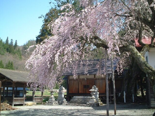 ��˂����Ѝ��߂���