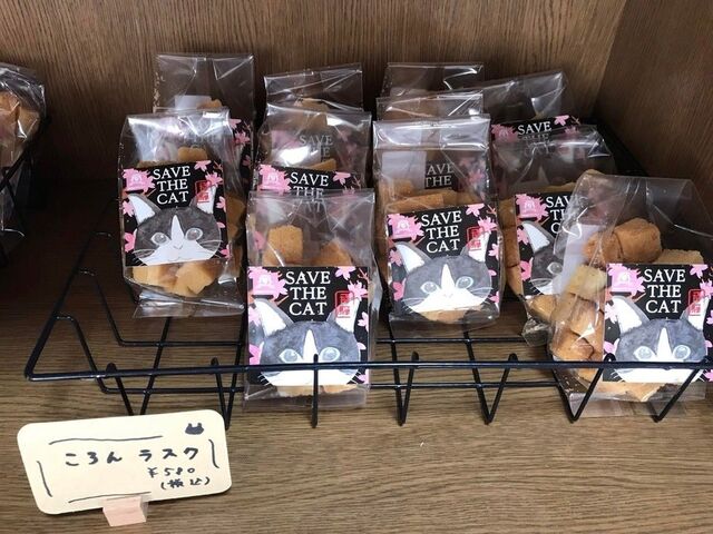 SAVE THE CAT HIDA �V�F���^�[