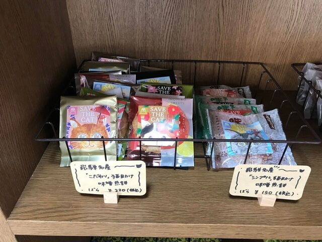 SAVE THE CAT HIDA �V�F���^�[