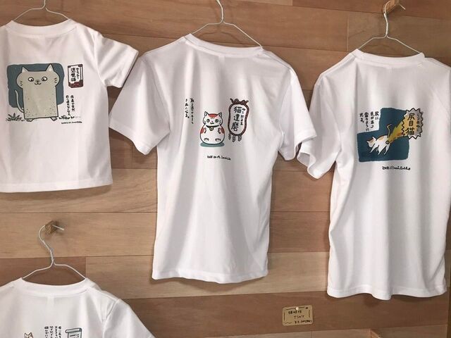 SAVE THE CAT HIDA �V�F���^�[