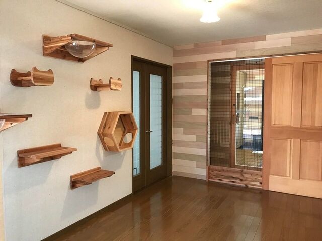 SAVE THE CAT HIDA �V�F���^�[