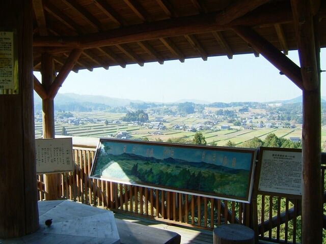 �W�]������̒��]_�_���i�ϓ��{��n��