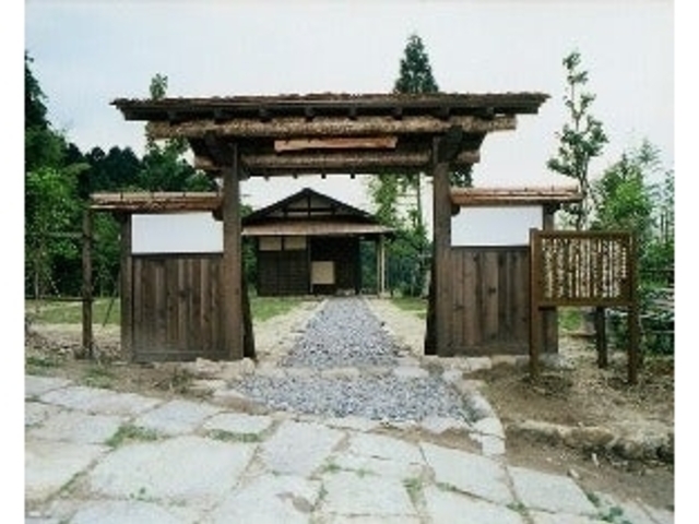 ���c�̎q�׊w��_��Ռ����i���ۘE�E���c�̎q�׊w���E�m�V�فj