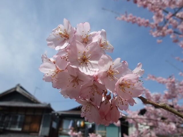 ���R���̎ʐ^1